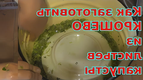 Как приготовить на зиму крошево из зеленых листьев капусты? Нижнюю ботву капусты многие не выкидывают, а готовят... 